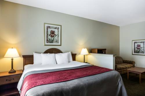 Imagen de la habitación del Hotel Quality Inn & Suites Houma. Foto 2