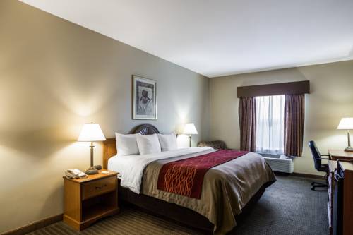 Imagen de la habitación del Hotel Quality Inn & Suites Houma. Foto 4