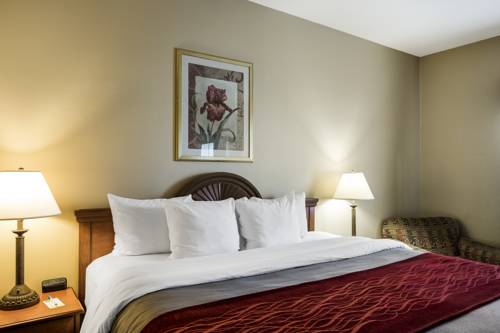 Imagen de la habitación del Hotel Quality Inn & Suites Houma. Foto 6