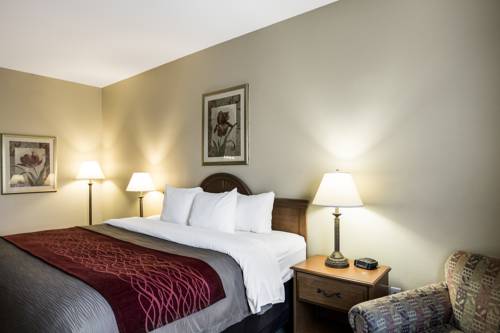 Imagen de la habitación del Hotel Quality Inn & Suites Houma. Foto 7