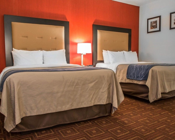 Imagen de la habitación del Hotel Quality Inn & Suites Nj State Capital Area. Foto 4