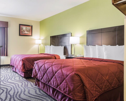 Imagen de la habitación del Hotel Quality Inn & Suites North Montgomery. Foto 2