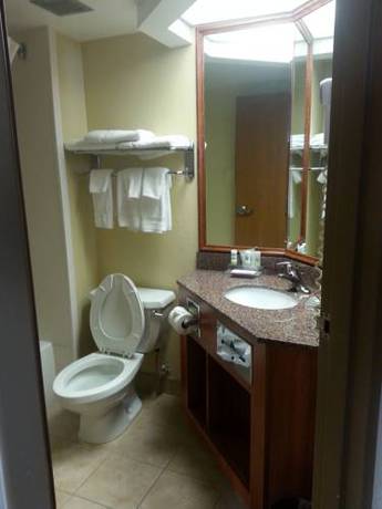 Imagen de la habitación del Hotel Quality Inn & Suites, Saginaw. Foto 2