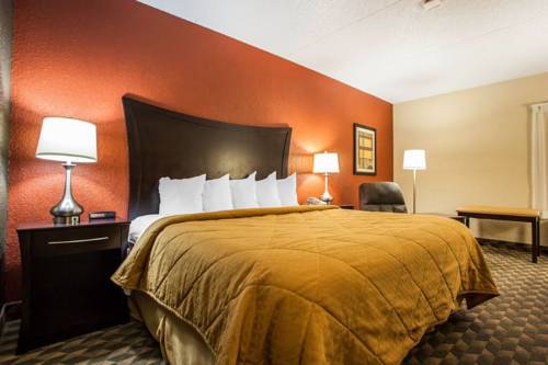 Imagen general del Hotel Quality Inn & Suites Starlite Village Conference C. Foto 1