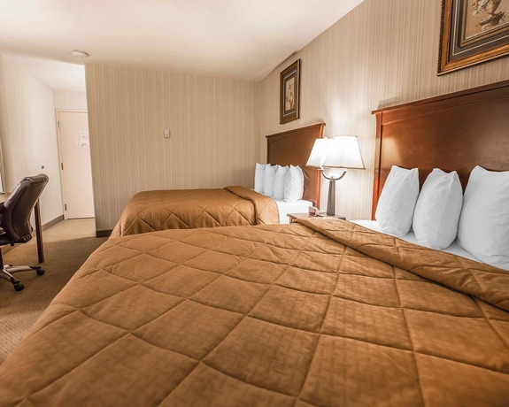 Imagen de la habitación del Hotel Quality Inn and Conference Centre, Red Deer. Foto 5