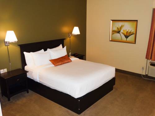 Imagen de la habitación del Hotel Quality Inn and Suites Amsterdam. Foto 5