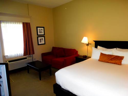 Imagen de la habitación del Hotel Quality Inn and Suites Amsterdam. Foto 13