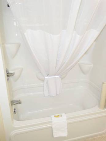 Imagen de la habitación del Hotel Quality Inn and Suites Amsterdam. Foto 14
