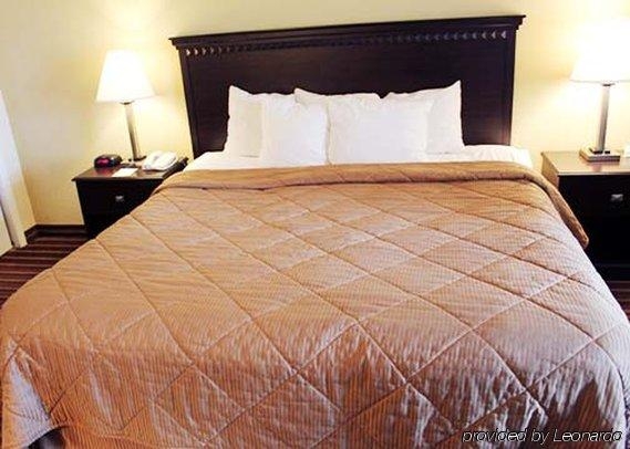 Imagen general del Hotel Quality Inn and Suites At Tropicana Field. Foto 4