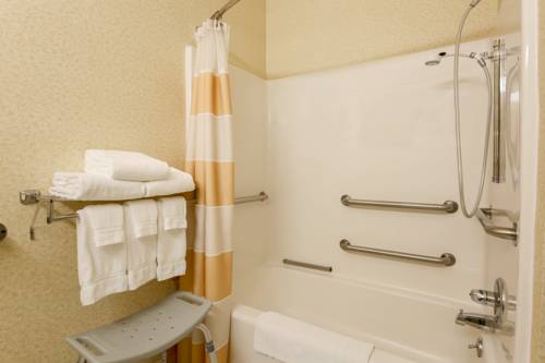 Imagen de la habitación del Hotel Quality Inn and Suites, Bay City. Foto 11