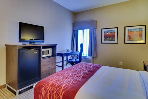 Imagen de la habitación del Hotel Quality Inn and Suites Bel Air I-95 Exit 77a. Foto 2