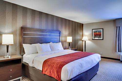 Imagen de la habitación del Hotel Quality Inn and Suites Bel Air I-95 Exit 77a. Foto 13