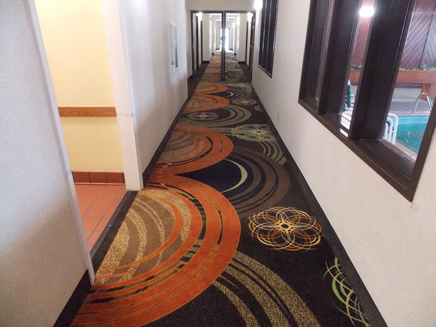 Imagen general del Hotel Quality Inn and Suites, CHAMPAIGN. Foto 1