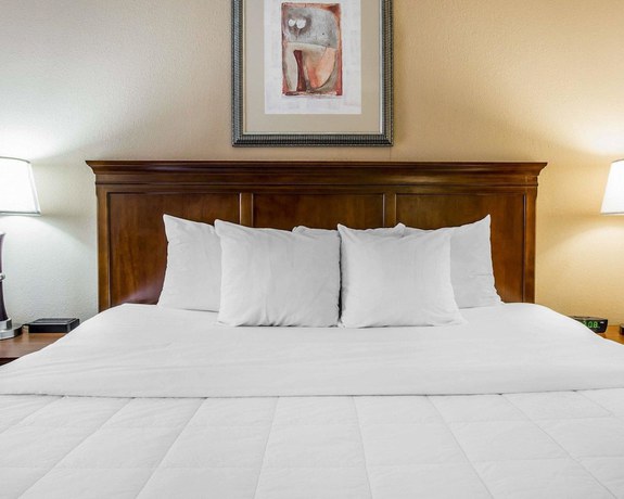 Imagen de la habitación del Hotel Quality Inn and Suites, Dawsonville. Foto 3