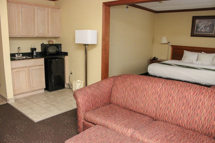 Imagen de la habitación del Hotel Quality Inn and Suites Detroit Metro Airport. Foto 4