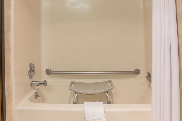 Imagen de la habitación del Hotel Quality Inn and Suites Detroit Metro Airport. Foto 10