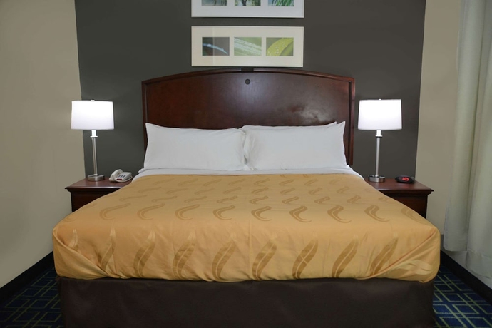 Imagen de la habitación del Hotel Quality Inn and Suites Dublin. Foto 12
