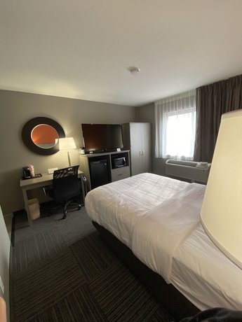 Imagen de la habitación del Hotel Quality Inn and Suites, Hammond. Foto 11