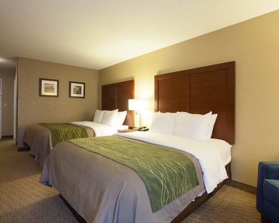 Imagen de la habitación del Hotel Quality Inn and Suites I-40 East. Foto 15