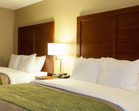 Imagen de la habitación del Hotel Quality Inn and Suites I-40 East. Foto 17