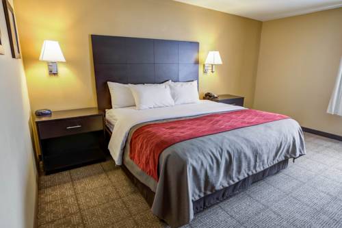 Imagen de la habitación del Hotel Quality Inn and Suites Lenexa Kansas City. Foto 2