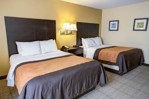 Imagen de la habitación del Hotel Quality Inn and Suites Lenexa Kansas City. Foto 8