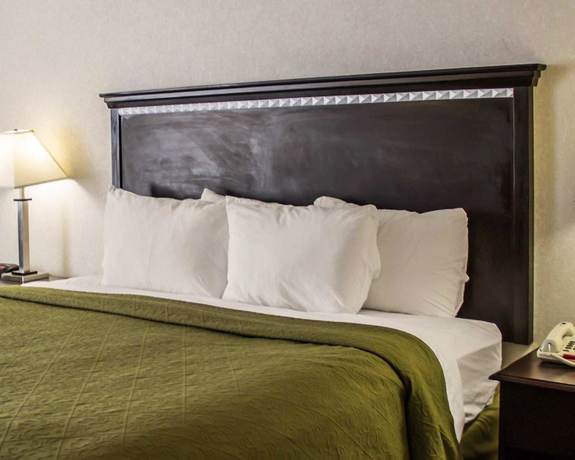 Imagen de la habitación del Hotel Quality Inn and Suites North, Mansfield. Foto 7