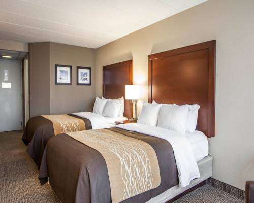 Imagen de la habitación del Hotel Quality Inn and Suites Orland Park - Chicago. Foto 7