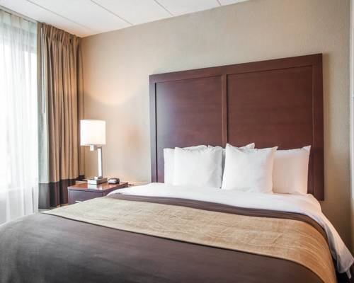 Imagen de la habitación del Hotel Quality Inn and Suites Orland Park - Chicago. Foto 10