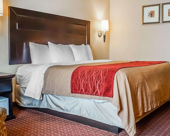 Imagen de la habitación del Hotel Quality Inn and Suites, Roswell. Foto 6