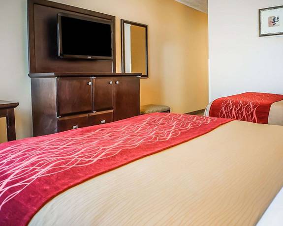 Imagen de la habitación del Hotel Quality Inn and Suites, Roswell. Foto 8