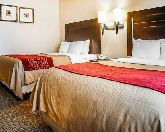 Imagen de la habitación del Hotel Quality Inn and Suites, Roswell. Foto 12