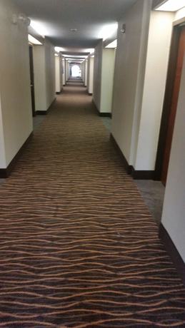 Imagen de los interiores del Hotel Quality Inn and Suites, Thomasville. Foto 19