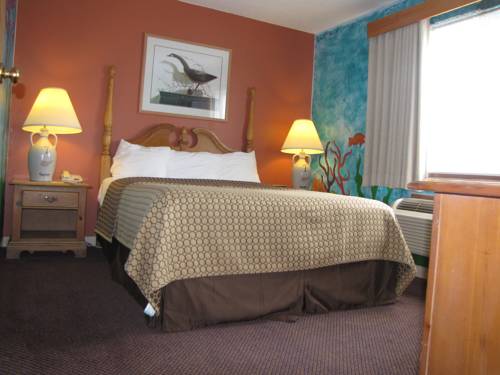 Imagen de la habitación del Hotel Quality Inn and Suites, Town of Bridgeport. Foto 3
