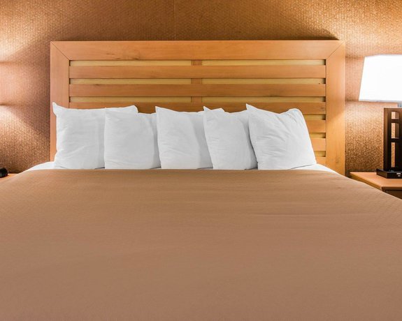 Imagen de la habitación del Hotel Quality Inn and Suites Warren - Detroit. Foto 3
