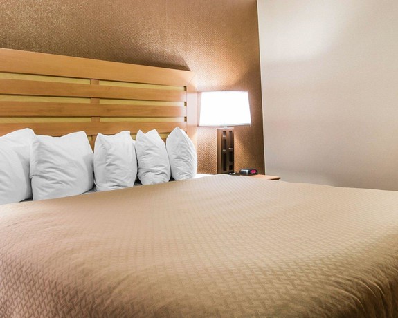 Imagen de la habitación del Hotel Quality Inn and Suites Warren - Detroit. Foto 13