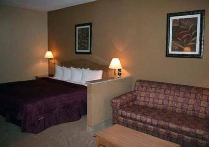Imagen de la habitación del Hotel Quality Inn and Suites near Six Flags - Austell. Foto 3