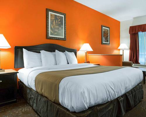 Imagen de la habitación del Hotel Quality Inn and Suites near Six Flags - Austell. Foto 10