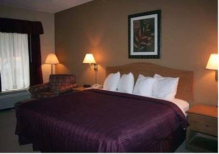 Imagen de la habitación del Hotel Quality Inn and Suites near Six Flags - Austell. Foto 16