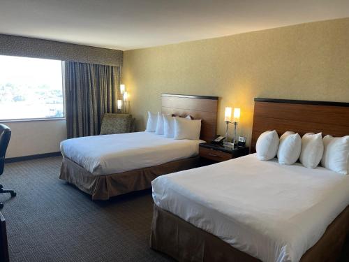 Imagen de la habitación del Hotel Quality Philadelphia Airport. Foto 12
