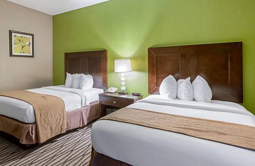 Imagen de la habitación del Hotel Quality Suites. Foto 7