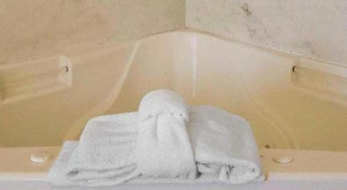Imagen general del Hotel Quality Suites Jeffersonville - Louisville North. Foto 11