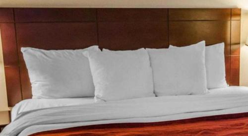 Imagen general del Hotel Quality Suites Jeffersonville - Louisville North. Foto 13