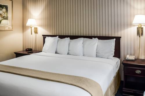 Imagen de la habitación del Hotel Quality Suites Lake Wright - Norfolk Airport. Foto 1