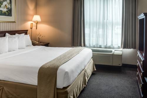 Imagen de la habitación del Hotel Quality Suites Lake Wright - Norfolk Airport. Foto 4