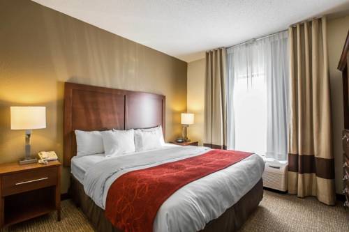 Imagen de la habitación del Hotel Quality Suites, Morristown area. Foto 14