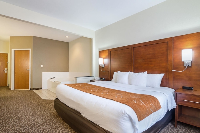 Imagen de la habitación del Hotel Quality Suites, Springdale. Foto 13