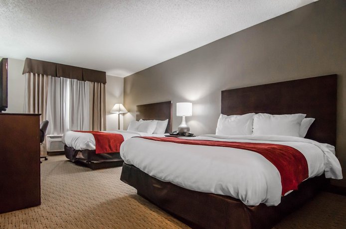 Imagen de la habitación del Hotel Quality Suites St. Joseph. Foto 14