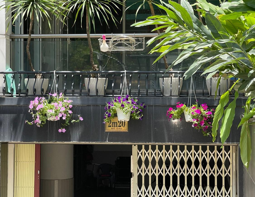 Imagen general del Hotel Quang Hoa. Foto 23