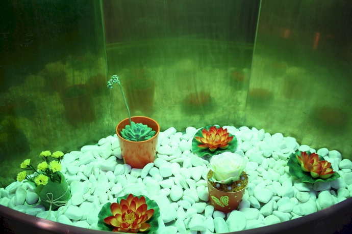 Imagen del bar/restaurante del Hotel Quasar. Foto 4